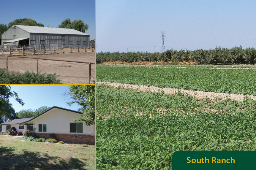 Pearson Realty Auctions